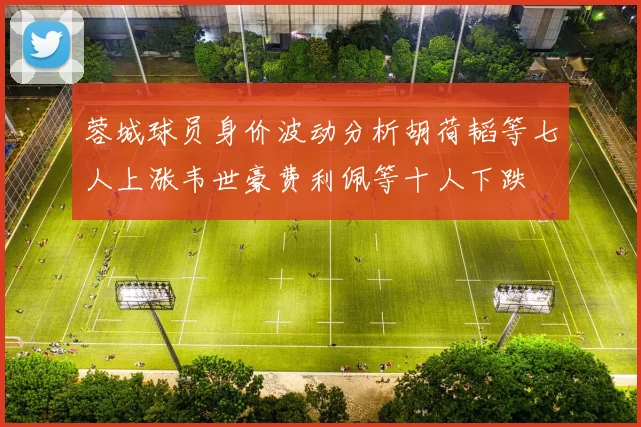 蓉城球员身价波动分析胡荷韬等七人上涨韦世豪费利佩等十人下跌