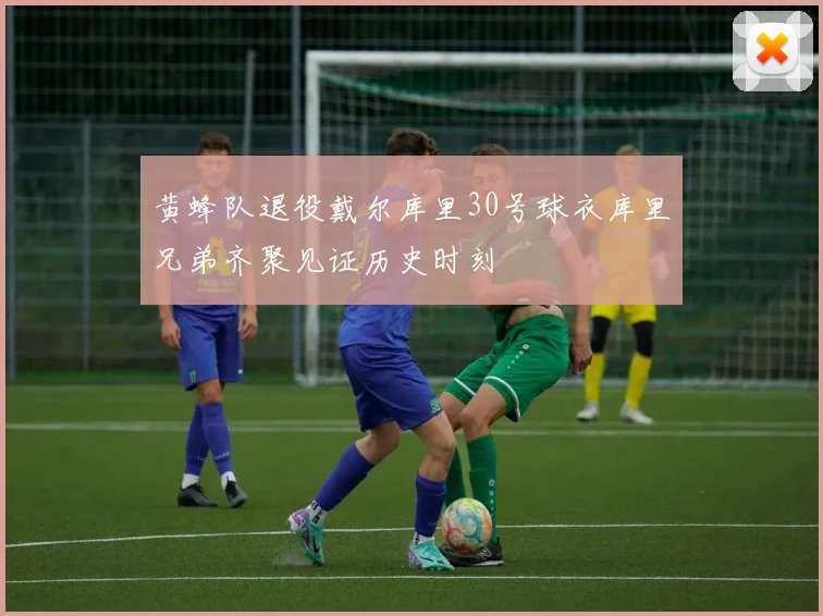 黄蜂队退役戴尔库里30号球衣库里兄弟齐聚见证历史时刻